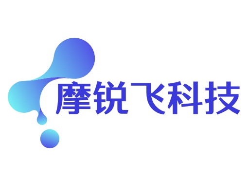 摩锐飞科技